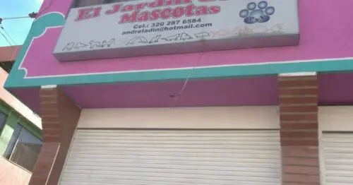 EL JARDIN DE LAS MASCOTAS TINTALITO EL JARDIN DE LAS MASCOTAS TINTALITO